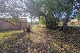 Ruin | Project approved | 1+1 bedroom villa | terrain