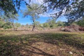 Ruin | Project approved | 1+1 bedroom villa | terrain