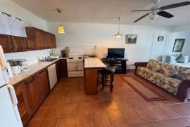 RH-169 Studio Apartment, Lambert Estate