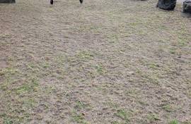 RH-133 2 bed 1 Bath Apartment, CGB