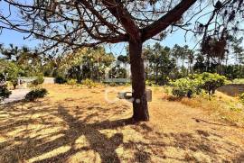 Villa Leiria Coimbrão