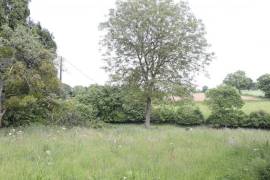 Detached Country House with Open Views