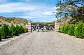 Finca Santa Elena: Mountain and Countryside Multiplex For Sale in 27 de Abril