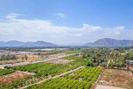 3 Bedrooms - Apartment - Alicante - For Sale - N8787