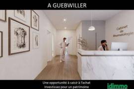 Professional premises within the Guebwiller medical center