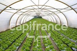 Dpt Saône et Loire (71), à vendre proche de LOUHANS Agriculture - exploitation Maraîchage