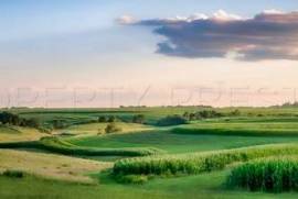 NOUVELLE AQUITAINE – EXPLOITATION AGRICOLE – 130 HA