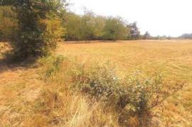 TERRAIN DE 3682 m² dont 2168 m² constructible CU , Bornage , ERP , G1 ok Assainissement individuel à prévoir libre constructeur