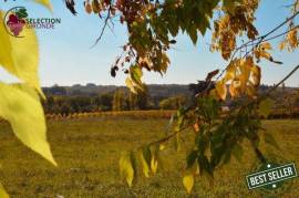 Large serviced land in Pellegrue