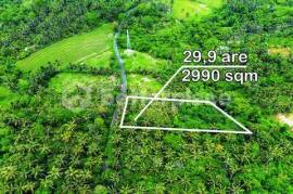 Discover Peaceful Living in Bali – Stunning 2,990 sqm Freehold Land in Balian with Lush Jungle and River Views