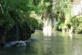 Unique investment project with several options on a 386 hectares plot of land in Mexico