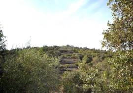 Agricultural Plot in a Rural Setting