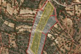 Agricultural Plot in a Rural Setting