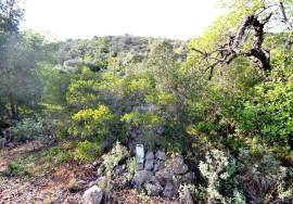 Agricultural Plot in a Rural Setting