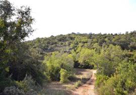 Agricultural Plot in a Rural Setting