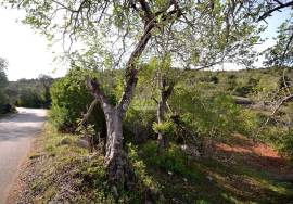 Agricultural Plot in a Rural Setting