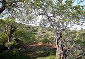 Agricultural Plot in a Rural Setting