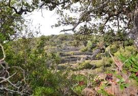 Agricultural Plot in a Rural Setting