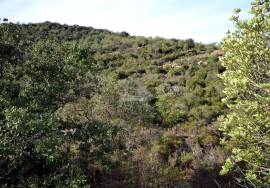 Rural Agricultural Land Rural Agricultural Land