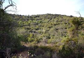 Rural Agricultural Land Rural Agricultural Land