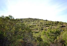 Rural Agricultural Land Rural Agricultural Land