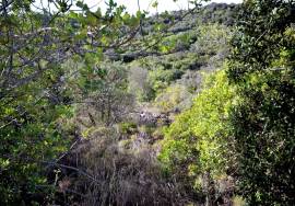 Rural Agricultural Land Rural Agricultural Land