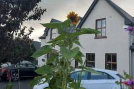 Excellent 8 Bed Estate For Sale In Tooreen Kilcolgan Co Galway Excellent 8 Bed Estate For Sale In Tooreen Kilcolgan Co Galway