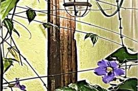 Luxury Loxwood House For Sale In Colombo Sri Luxury Loxwood House For Sale In Colombo Sri