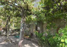 Property in Covas with single storey housing and cellar in the basement, vineyards and fruit trees + Annex