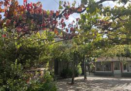 Property in Covas with single storey housing and cellar in the basement, vineyards and fruit trees + Annex