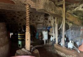 Property in Covas with single storey housing and cellar in the basement, vineyards and fruit trees + Annex