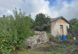 Property in Covas with single storey housing and cellar in the basement, vineyards and fruit trees + Annex