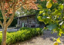 Country House with Pool and Independent Suite in the Center of Covas