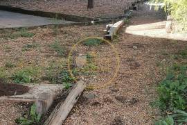 Commercial Space in Loulé