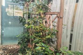 Commercial Space in Loulé