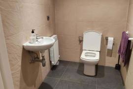 Nice premises for sale in Boronbizcarra