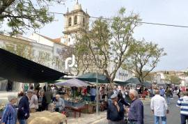 Fully Renovated 1+1 bed Garden Apartment With 142,82 m2 Rental Guarantee Of 5,00% Per Annum