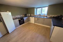 Absolutely Lovely House and Garden