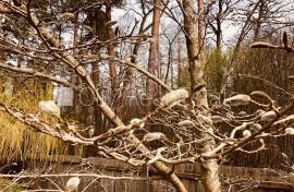 Detached house for rent in Riga district, 210.00m2