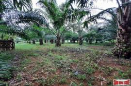 Exceptional 2 Rai Land Plot on Easy Accessible Corner Lot in Had Yao, Krabi Exceptional 2 Rai Land Plot on Easy Accessible Corner Lot in Had Yao, Krabi