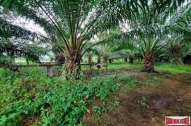 Exceptional 2 Rai Land Plot on Easy Accessible Corner Lot in Had Yao, Krabi Exceptional 2 Rai Land Plot on Easy Accessible Corner Lot in Had Yao, Krabi