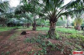 Exceptional 2 Rai Land Plot on Easy Accessible Corner Lot in Had Yao, Krabi Exceptional 2 Rai Land Plot on Easy Accessible Corner Lot in Had Yao, Krabi