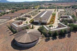 Hacienda - außergewöhnliche Residenz für Pferdeliebhaber auf Mallorca