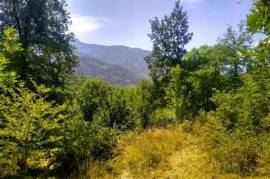 Un rêve qui devient réalité, un projet à concrétiser.