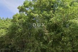 ISTRIA, PERUŠKI - Agricultural land 41600 m2