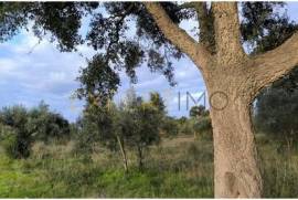 Land construction allowed Ribatejo beach 3 minutes from the Tagus River 13 hectares