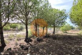 LAND WITH 16,000 M2 - FLAT - ELECTRICITY - TAP IN ALCOUTIM - ALGARVE