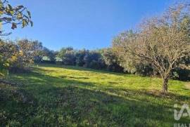 Terreno Agrícola em Santa Bárbara de Nexe