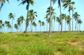 Cotonou (Benin)., ca. 4.500 qm Grundstück direkt am Meer