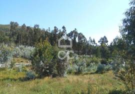 Plot with 950m2 overlooking the river, near the center